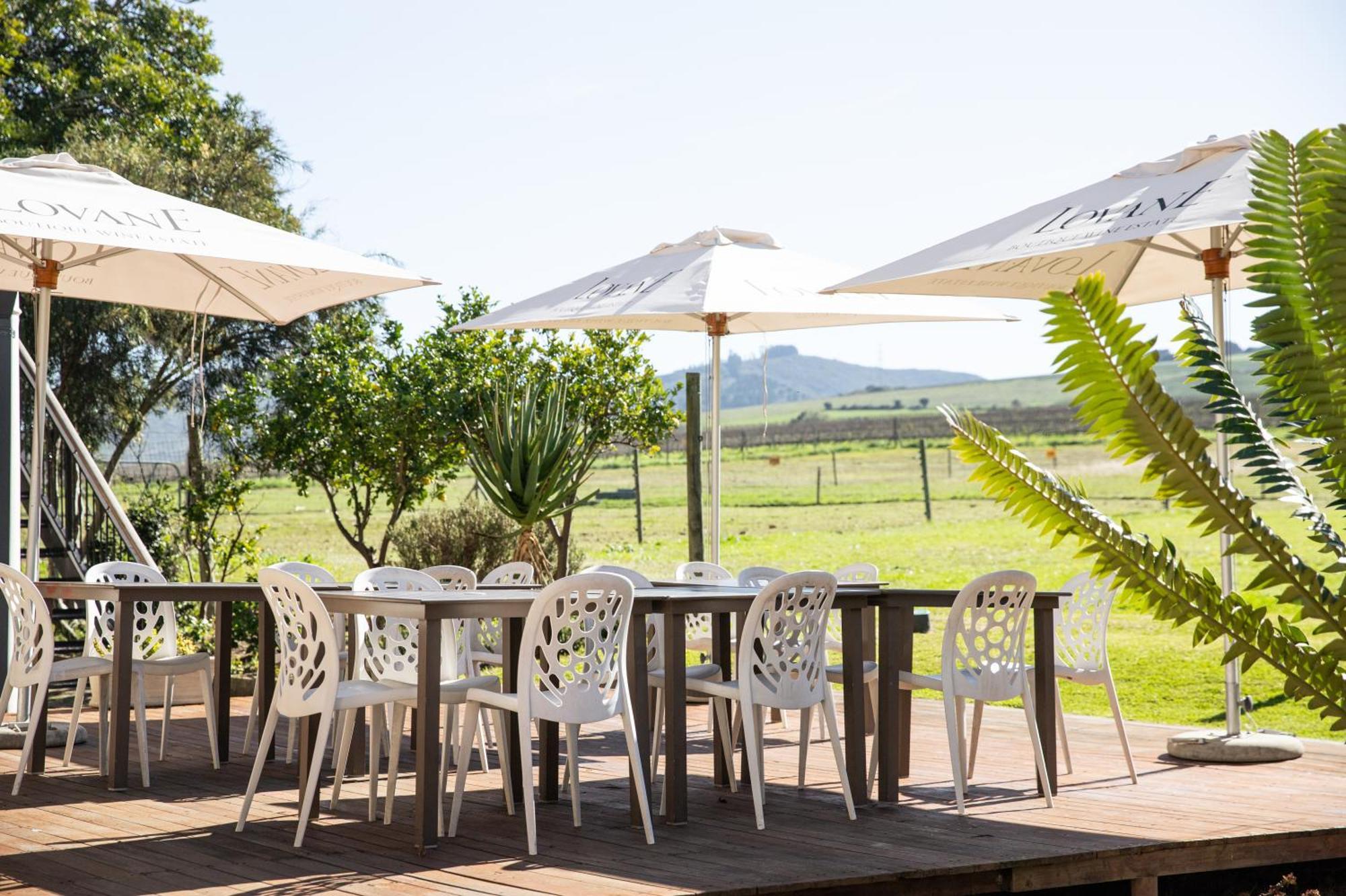 Lovane Boutique Wine Estate And Guesthouse Stellenbosch Luaran gambar